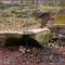 Die Nahe-Quelle - Spring of the River Nahe