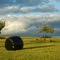 Long Shadows and Clouds - Feld, Schatten und Wolken
