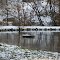 Ice Isle - Winterteich