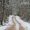Winterroad - Waldweg