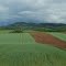 Schaumberg