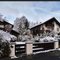 Winter in the neighborhood