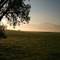 Morgennebel