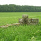 Ruins of Gereuthhof, destroyed by DDR in 1973