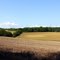 Landschaft bei Oberwaldbehrungen (Rhön), 24.08.2011