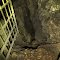 Einstieg zur Bismarkgrotte
