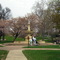 Statue