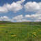 green meadows a blue sky with white clouds - enjoy the live