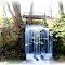 Im Zeegenbachtal