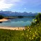 Forggensee
