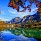 Alpsee*