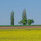#56 Tuscanny in lower bavaria?  Toskana in Niederbayern? near Pfeffenhausen, Germany