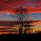 Crescent Moon Sunset