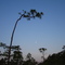 Dusk in The Big Cypress National Park, Collier County, Florida