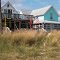 Bowers Beach Cottages