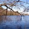 Wagamon's Pond