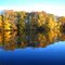 Fall Colors