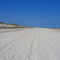 Desolate! Delaware Seashore SP