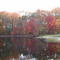 craigs mill pond waterfall