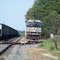 Norfolk Southern