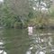 Slow No Wake - on the Broadkill River