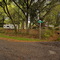 2009 Derrydown, Pace Fl area