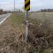Roadside Memorial for Thomas Hall (1 of 2)