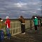 Jasper-Pulaski Fish & Wildlife Area