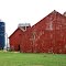 Red barn w/ Harvestore Silos