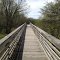 Wildlife viewing stand