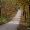 Road to Panther's Den, Southern Illinois