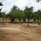  Bocanda, Lycée moderne, à l'ombre des arbres, les salles de cours