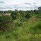maraîcher près du barrage de KORHOGO
