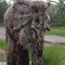 derniere elephant