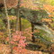 Ravens Bridge from Top (~20'x8')