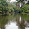 fleuve sassandra