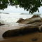 Poly plage