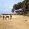 poly plage 1985