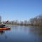 Shiawassee River
