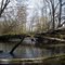 Animal overpass on Shiawassee River
