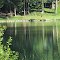 Soft water in Softwater Lake