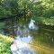 Shiawassee River viewed from Byron Road
