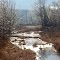 Spring Creek beaver dam and icy trees