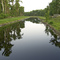 Canal behind Ft. Wilderness Campground