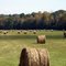 Hay Bales