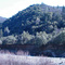 North Fork American River Erosion