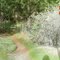 Historic Western States Trail, Todd Valley area, Placer County, California