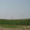 Éoliennes près d'Ubly