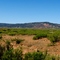 Mesa Rica from Hwy 104