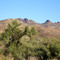 Facing east